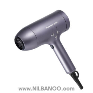 Promax brushless 7770 Hair Dryer