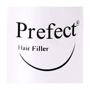پرفکت | Prefect