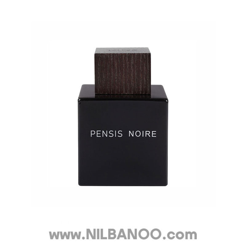 ادوتویلت مردانه پنسیس مدل ENCRE NOIRE